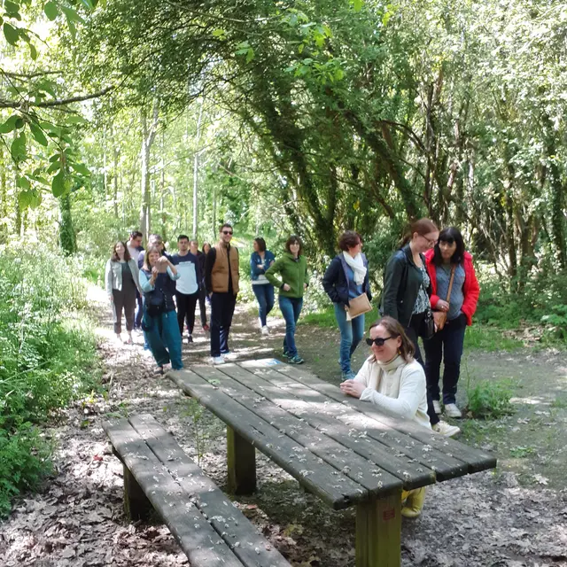 table pique nique Les chemins de l'eau