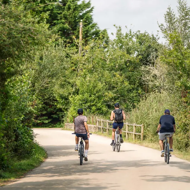 239-SB-Fouesnant-Marais de Mousterlin-BD©JeremyJehanin-2024