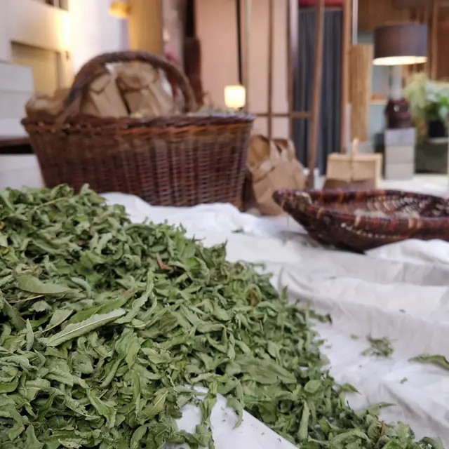 Visite de jardin de plantes aromatiques et médicinales - Plogastel St Germain