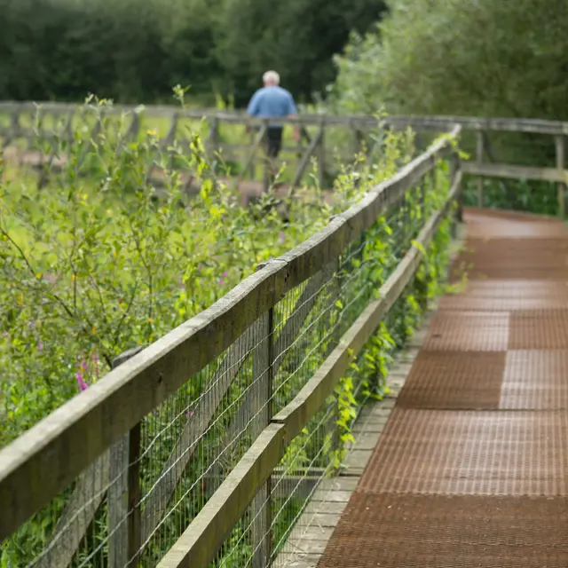 Le marais de Gannedel
