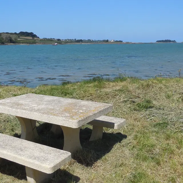 table pic nic Bellevue