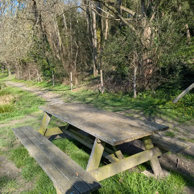 table pique nique milin saezh est (2)