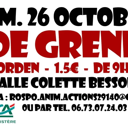 vide grenier 26 oct