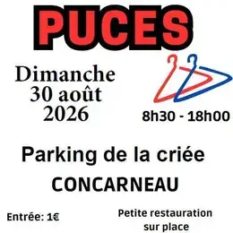 vide grenier 30 aout