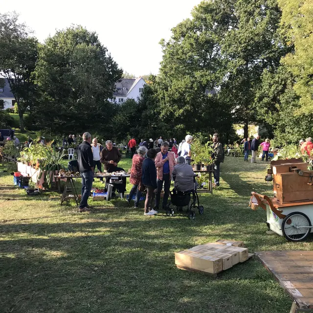 vide jardin automne 2021retaillé