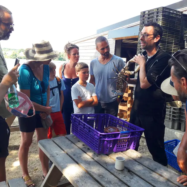 Visite aux Viviers de Penfoulic
