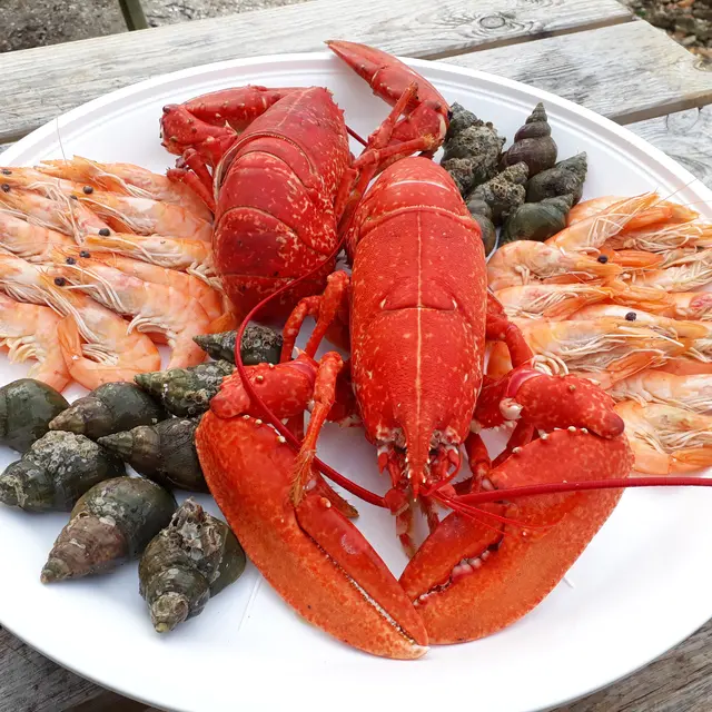 Plateau de fruits de mer