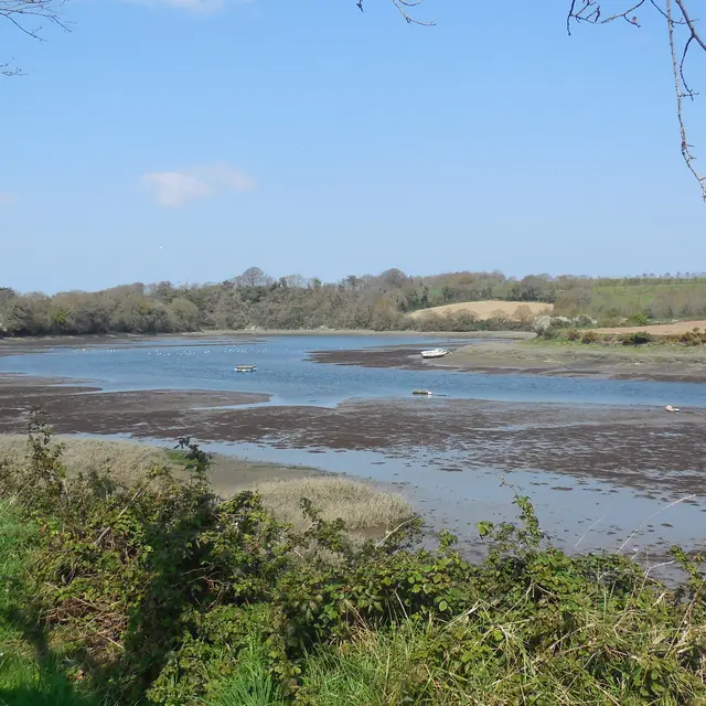 vue sur l'estuaire du Bizien