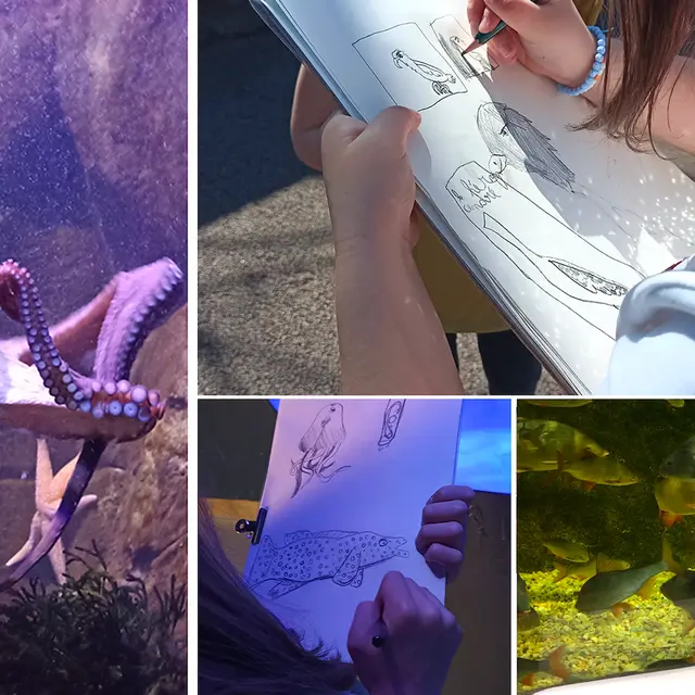 AT AQUASHOW 2026 02 voirvoirdehors.com