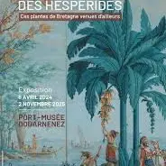 AVR Hespérides