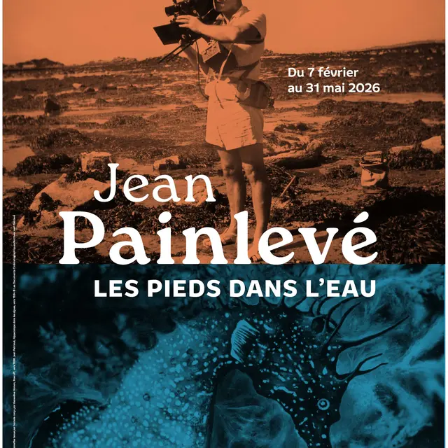 Affiche-40x60-painleveEXE2