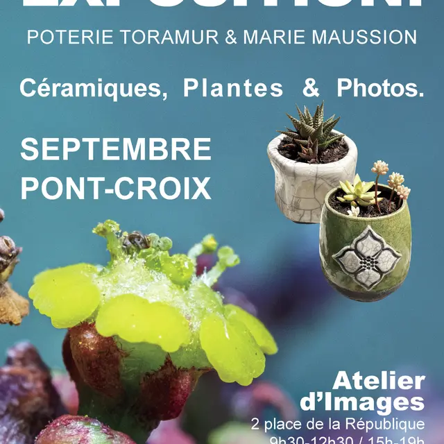LA TROP SUCCULENTE EXPOSITION