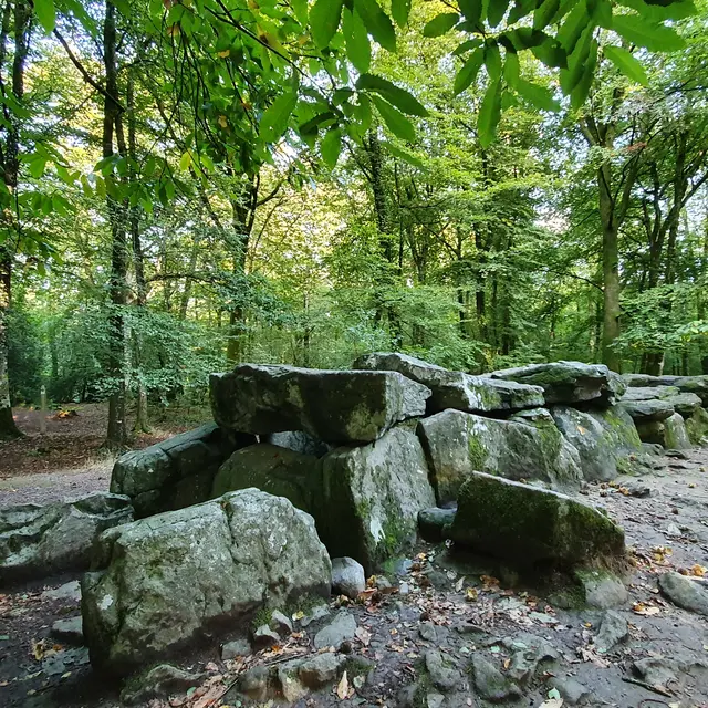 Allée couverte - Forêt de Tressé - Tressé