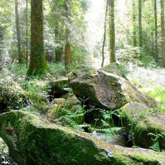 Allée couverte du Brohet G. Leroi