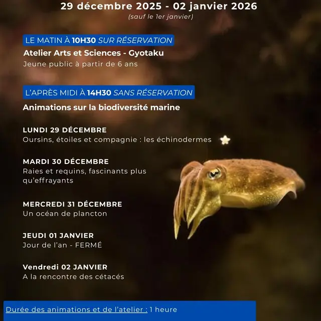 Affiche Programme Évènements Moderne Bleu - 5