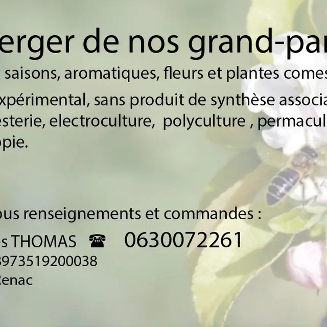 Au_verger_de_nos_grands_parents