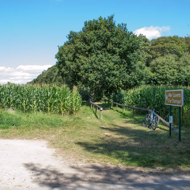 Balade vélo poullan (1)