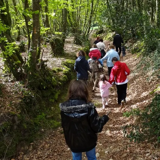 Bernard Moulin -Groupe-bois-du-Névet-1