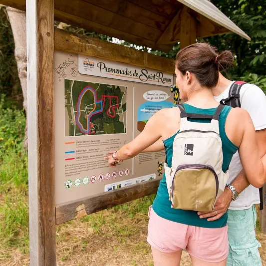 Bois de Saint Ronan - Plozevet - Pays Bigouden-1