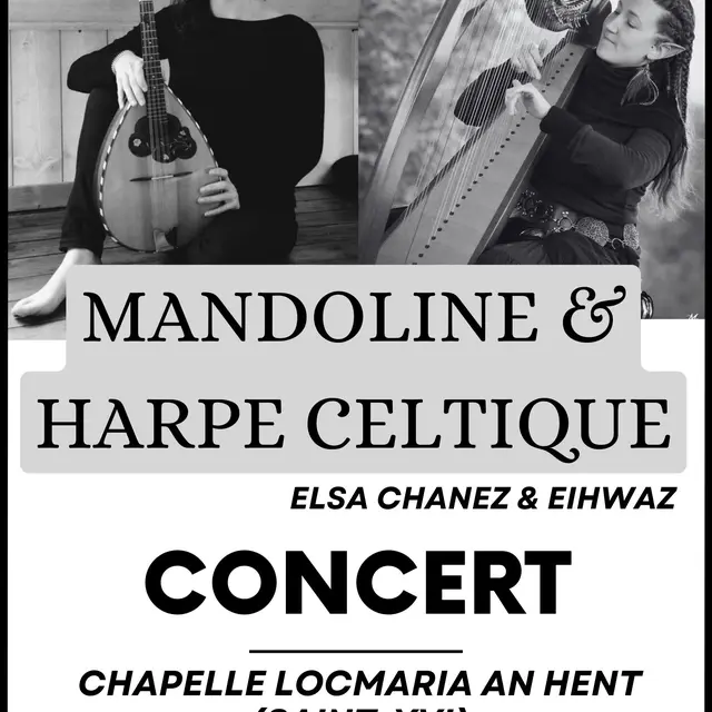Black Minimalist Music Concert Poster - 6