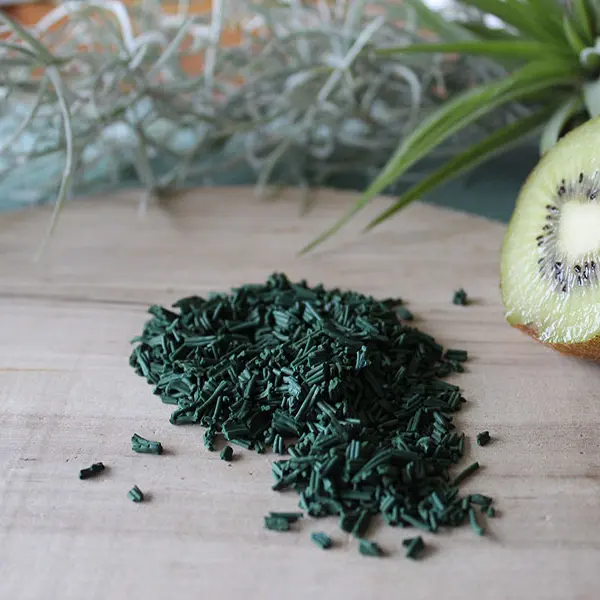 Breizh'Uline Plobannalec-Lesconil - Pays Bigouden - Bigoudenjoy