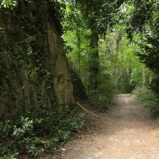 Buttes de la Hautiere Muel