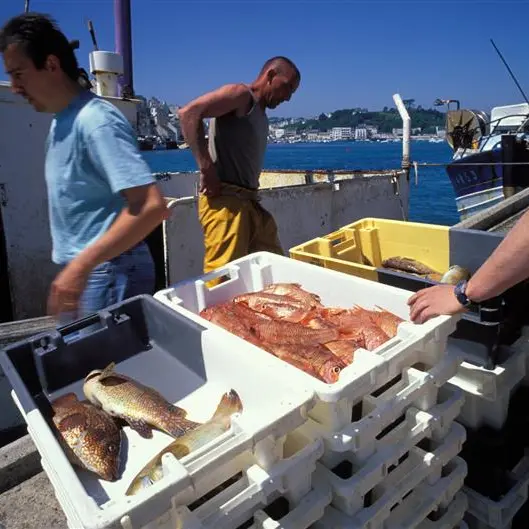 Criée de Poulgoazec