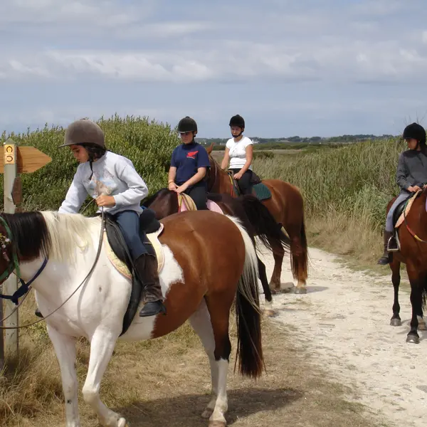 Centre équestre de la joie - Penmarc'h - Pays Bigouden - Bigoudenjoy