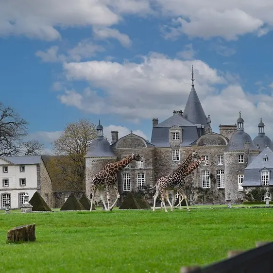 Château Parc et jardins de la Bourbansais
