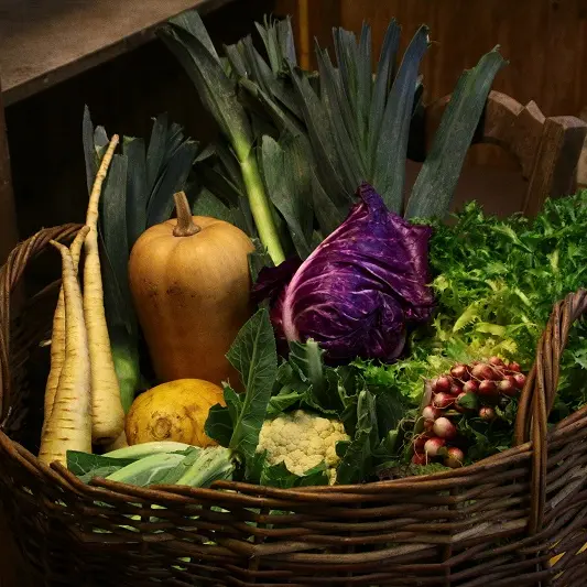 Chez Véro et Philippe - Plozévet - Pays Bigouden