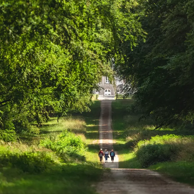 Allée de Cheffontaines