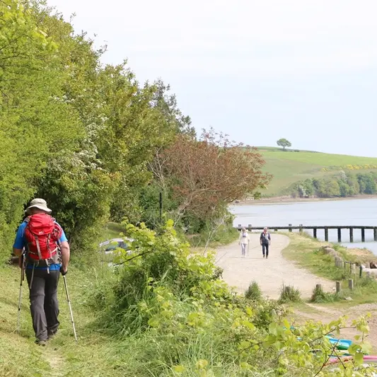 Chemins_de_randonnee_-_Saint-Jouan-des-Guerets-SMBMSM-3373