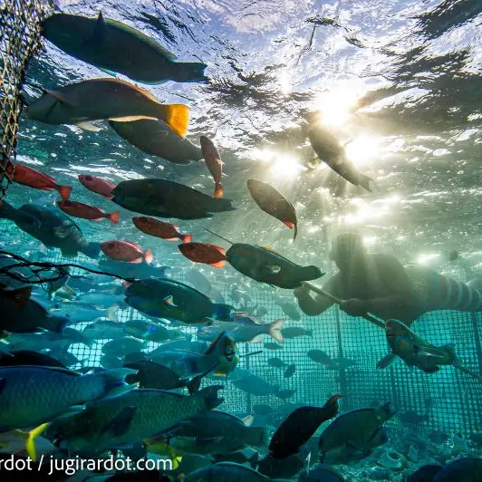 Festival Photo du Guilvinec - La mer en partage - Pays Bigouden  -  Bigoudenjoy