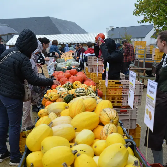 Marche de cucurbitacés - Pouldreuzic - Pays Bigouden