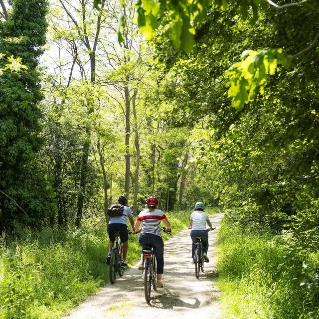 Elise FOURNIER - Le juch voie verte à vélo