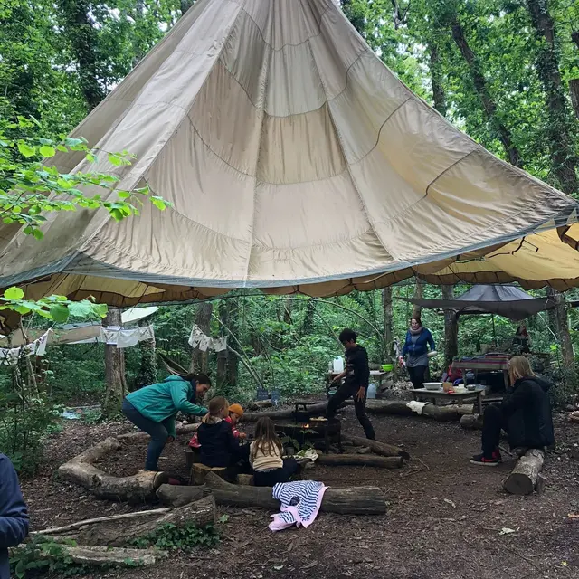 Camp Forest Cool