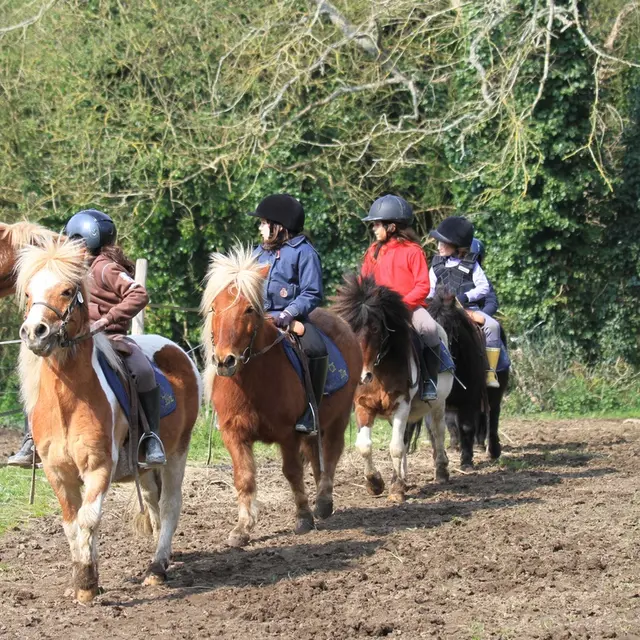 Centre équestre de Penn Foennec à Douarnenez - Bretagne