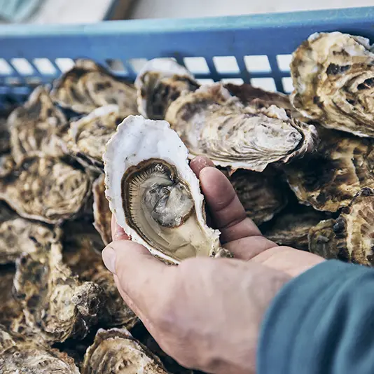 Marché Combrit - Pays Bigouden - Bigoudenjoy