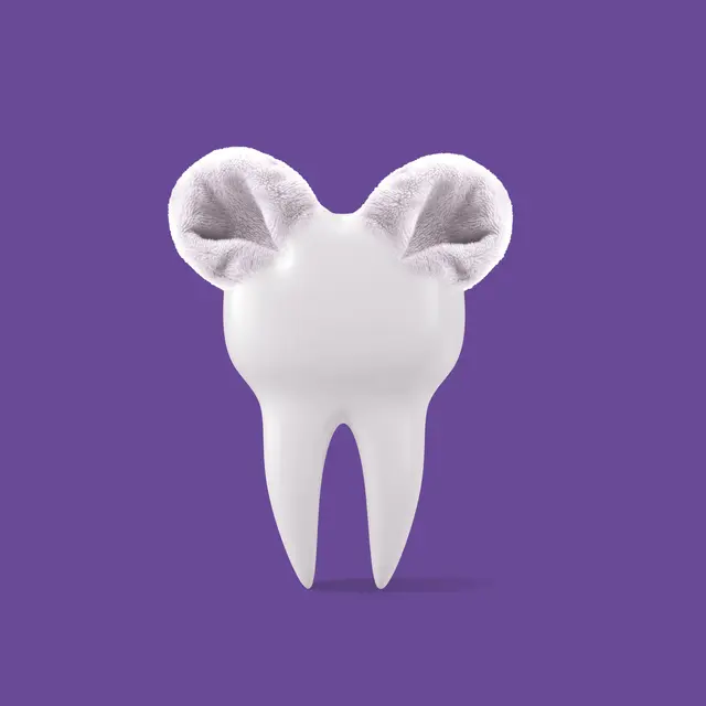 Spectacle - Plozévet -Pays Bigouden