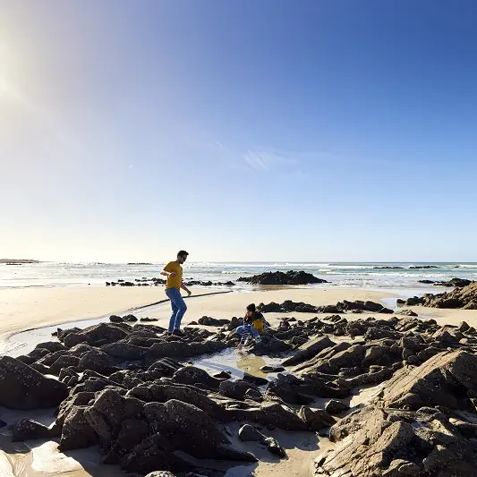 Printemps de l'estran  Pouldreuzic - Pays Bigouden