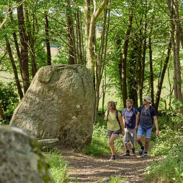 Menhirs Saint Kodelig à Plovan en Pays Bigouden