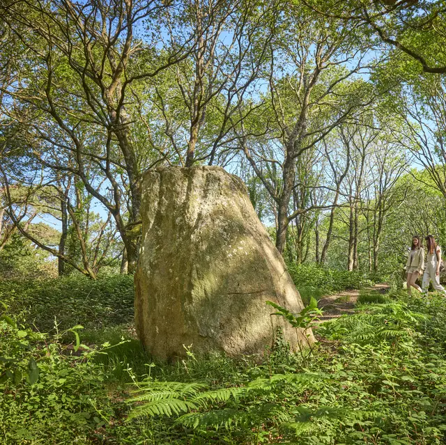 Boucle VTT n°5 Saint-Kodelig - Pouldreuzic - Pays bigouden