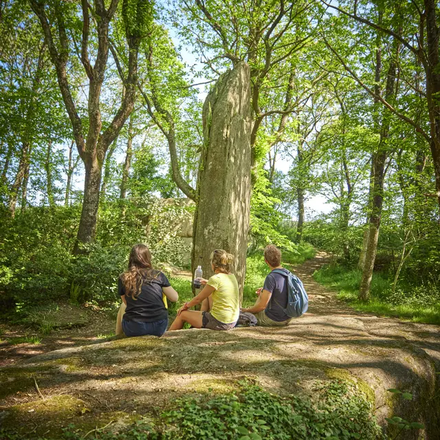 Menhirs Lespurit Ellen à Plovan en Pays Bigouden