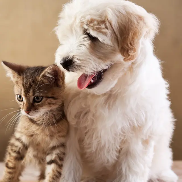 Flyer perso-VANHEMELRIJCK (4).pdf - 1