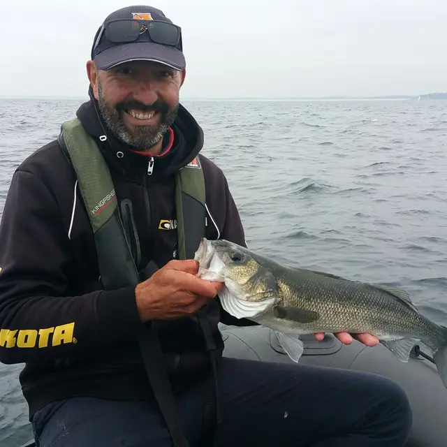 MB Fishings Guide de pêche Plomelin