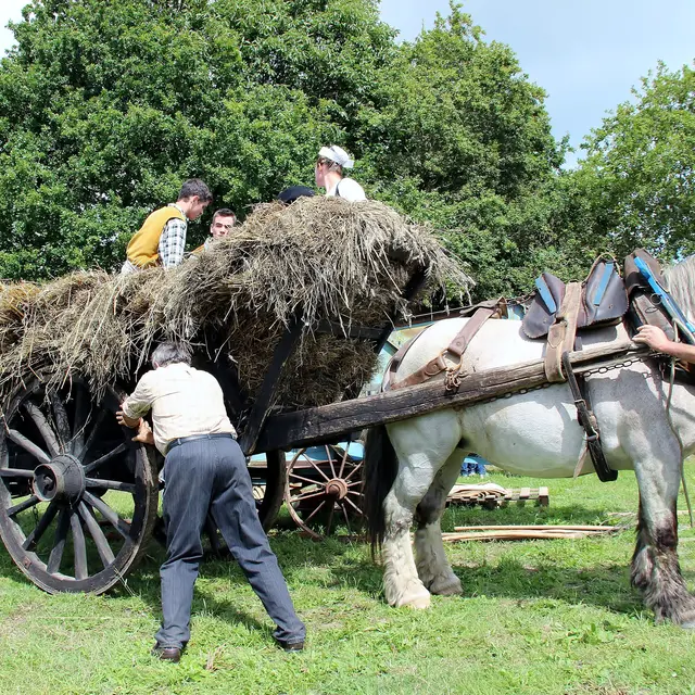 Kerbader-Fete-des-vieux-metiers