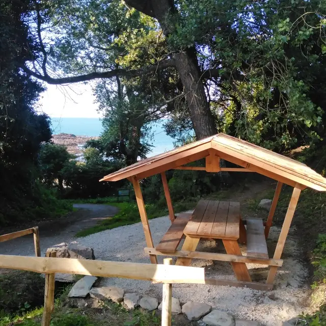 IMG_20240728_190406_resized_20240730_043250050