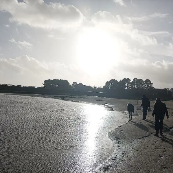Découverte de l'estran - Pêche à pied - Pays bigouden - Bigoudenjoy