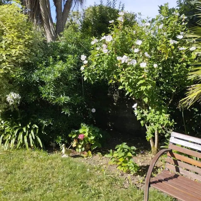 BARGAIN Mireille - Plobannalec-Lesconil- Pays bigouden