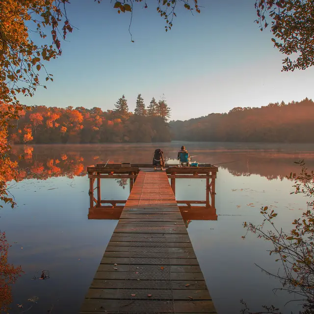 forêt Corbière ©Florine Jubert